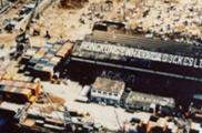 Container operations for general cargo were further established